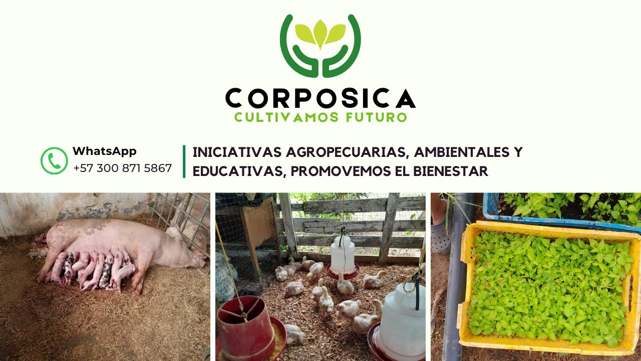Corposica Corporación Social Integral y Agroambiental de Caucasia